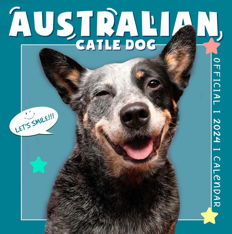 Australian Cattle Dogs photo review
