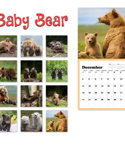 Wildlife Animal Wall Calendar Ideas