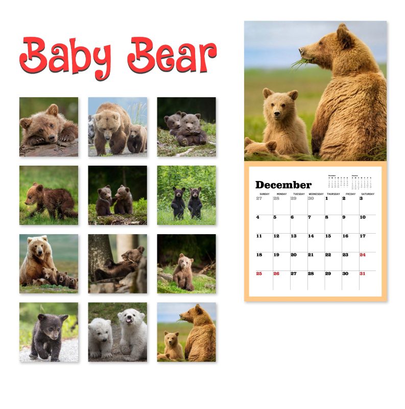 Baby Bear Wall Calendar