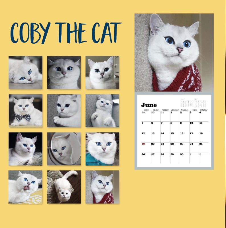 Coby the Cat