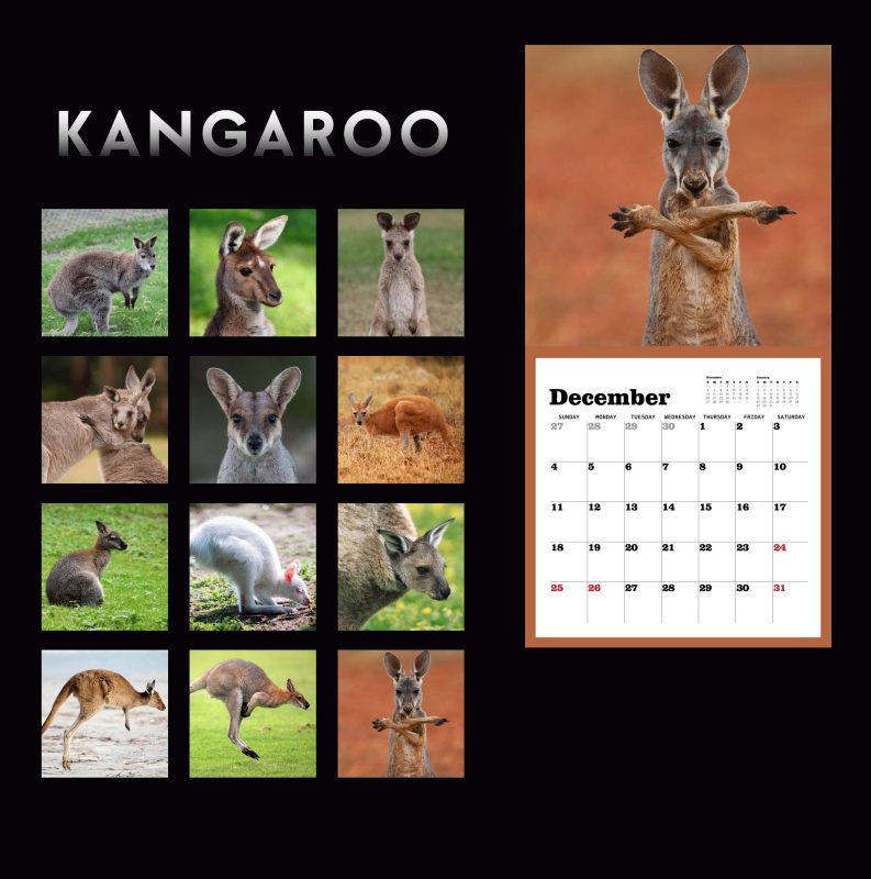 Kangaroo Wall Calendar