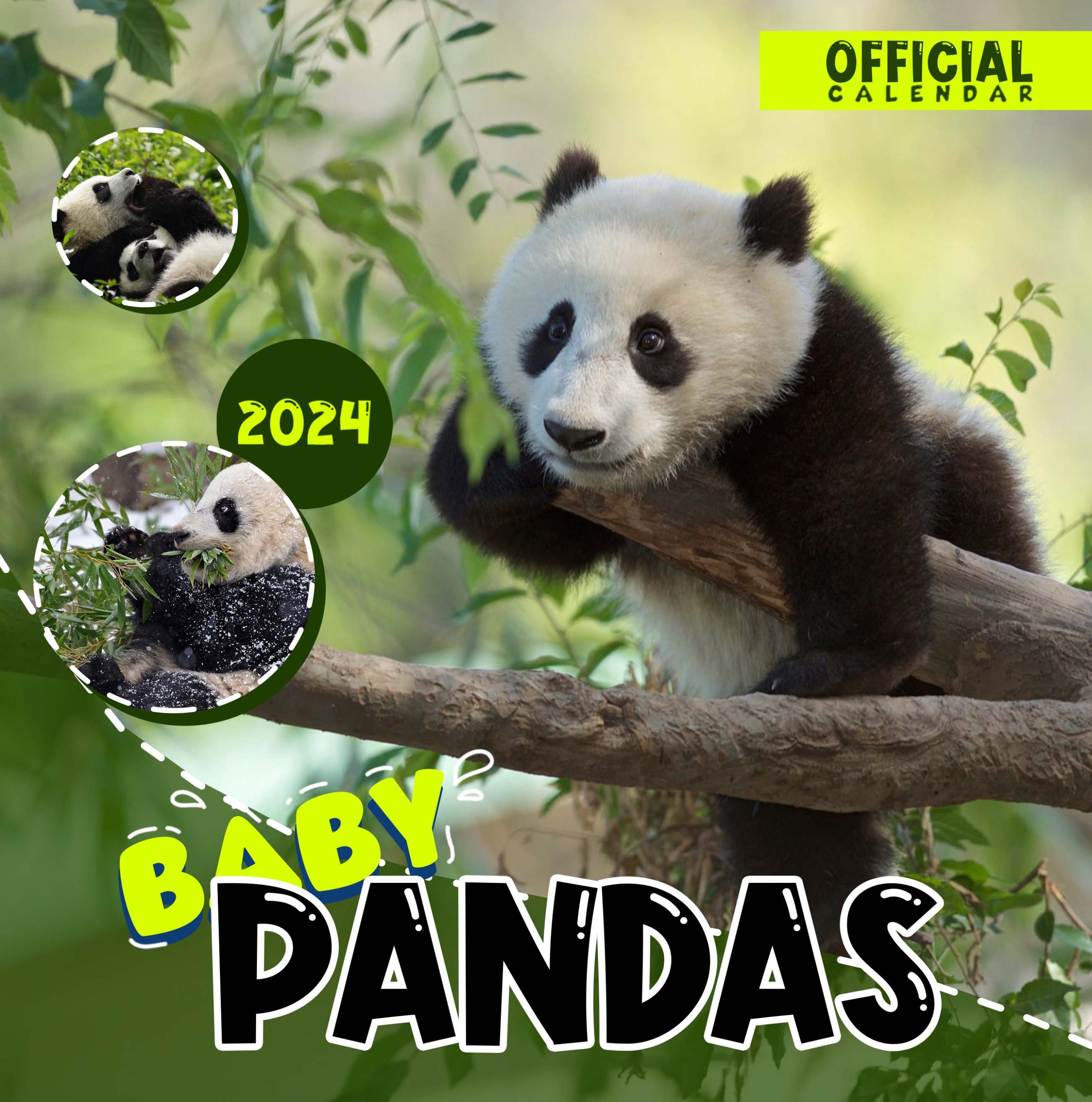 ANM21 8Bc C10 Baby Pandas YENNHU RM23 Scaled 
