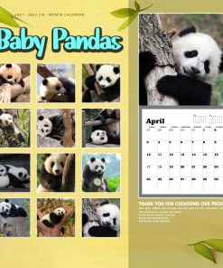 Wildlife Animal Wall Calendar Ideas