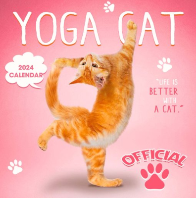 Funny Cat Lover Calendars