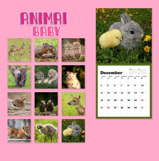 Calendar Ideas for Animal Lovers